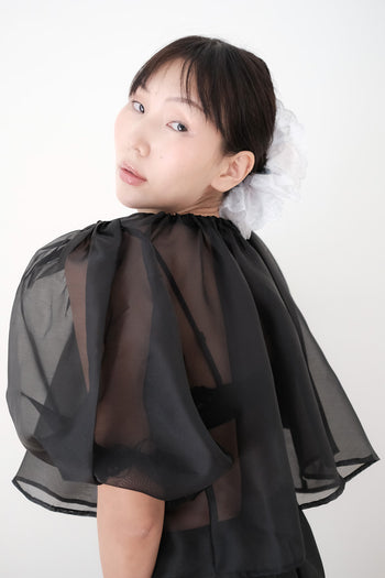Capucine Organza Top