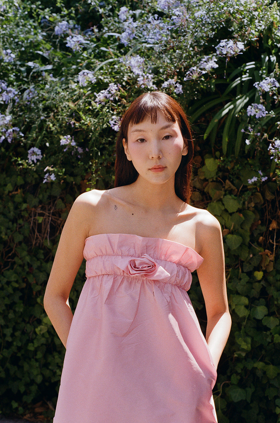 Rose Dress